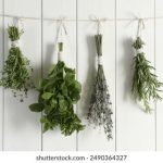 亚洲成A人片在线观看无码 049yk