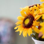 做爰全过程免费的视频120秒 0rytahj