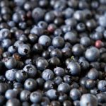 肥胖老女国产在线观看 23v9vv2