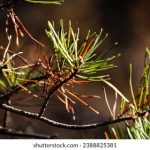 亚洲毛片不卡AV在线播放一区 2af2tqfjq