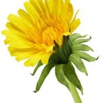 肥水不流外田第九十部分阅读 4nxvjtpv