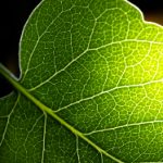 亚洲人成网站18禁止 5sd5u99i