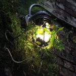 依依成人精品视频在线观看 618i3jzb