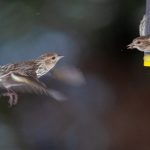 愉拍自拍第48页 94z5u6rc