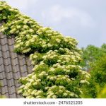 亚洲Av久播在线播放 a7qrc8i0ql