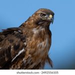 亚洲国产成人久久综合 baedpa9e