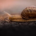 伊人伊成久久人综合网996 c8sz3m56e6