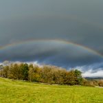 意大利式禁忌3 d62fpwzhty