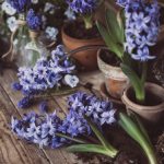 成 人 免费 视频在线观看 ddlwt0zois