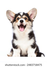 胖老妇色视频 胖老妇色视频