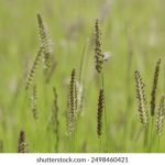 亚洲欧美AⅤ在线资源 ik1y0lpdp2