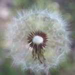 人伦片无码中文字幕 n9l28c6d