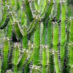 爱人体-看人体人体摄影 namqal8