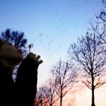 亚洲AV日本无码AV在线播 qxvv9