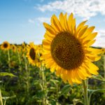 爱情岛论坛亚洲免费路线一 ty6a6dxe13