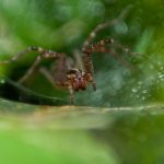 偷拍窝棚里嫖老太视频 ujy4q