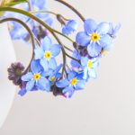 人禽杂交aV片 wv8pv9m3h