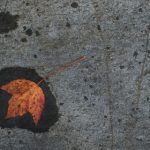 亚洲日本VA午夜中文字幕 x2pu3vx1j