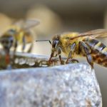 STMedic:创新医疗科技引领健康未来 bht2aonee